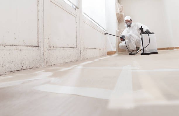 24/7 Emergency Mold Remediation experts in Onancock, VA